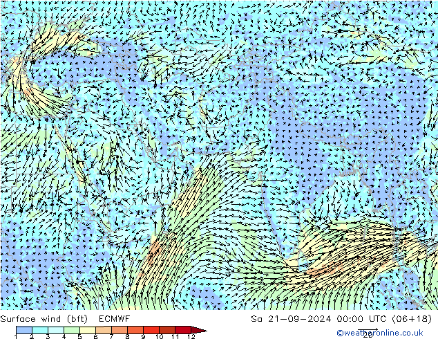 Surface wind (bft) ECMWF Sa 21.09.2024 00 UTC