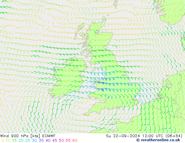 Wind 900 hPa ECMWF So 22.09.2024 12 UTC