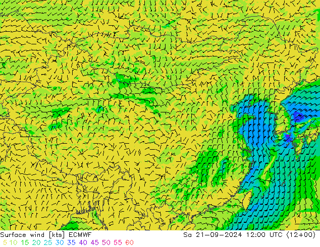 风 10 米 ECMWF 星期六 21.09.2024 12 UTC