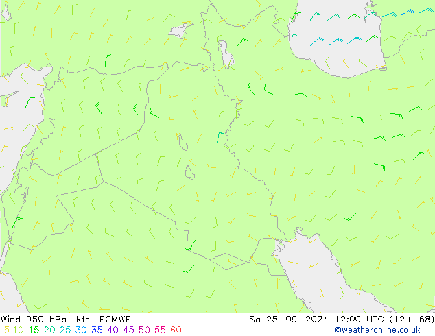 Wind 950 hPa ECMWF za 28.09.2024 12 UTC