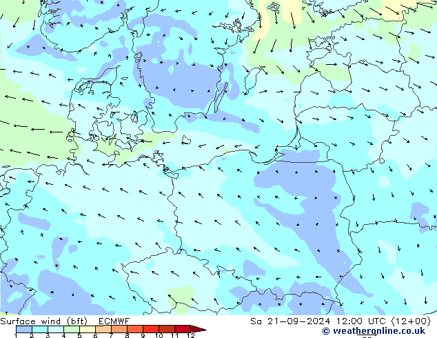 ве�Bе�@ 10 m (bft) ECMWF сб 21.09.2024 12 UTC