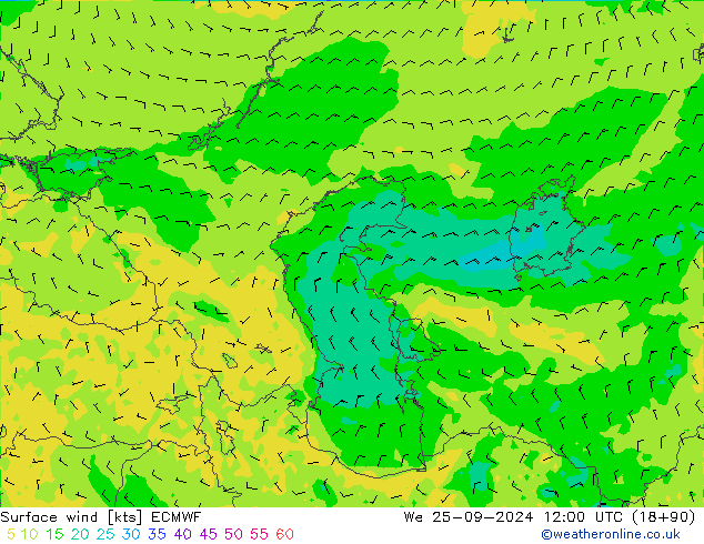 Surface wind ECMWF We 25.09.2024 12 UTC