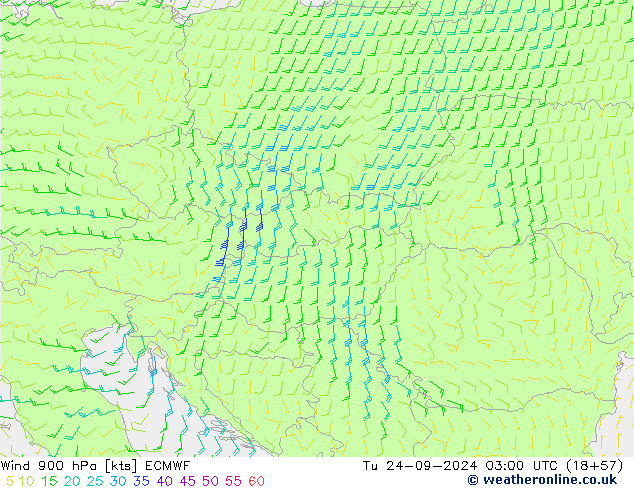 Wind 900 hPa ECMWF Tu 24.09.2024 03 UTC