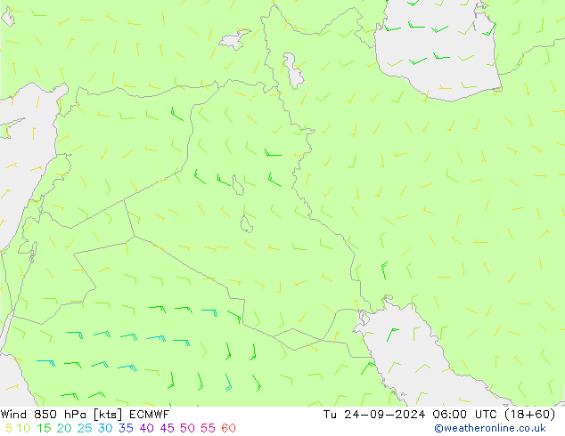 Vento 850 hPa ECMWF Ter 24.09.2024 06 UTC