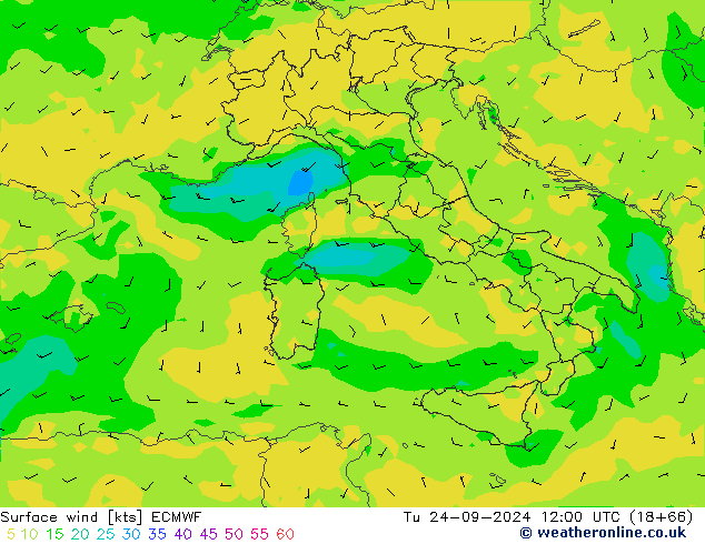 Wind 10 m ECMWF di 24.09.2024 12 UTC