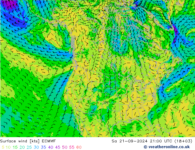 风 10 米 ECMWF 星期六 21.09.2024 21 UTC