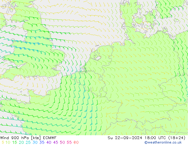 Wind 900 hPa ECMWF So 22.09.2024 18 UTC