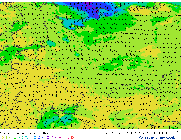 Prec 6h/Wind 10m/950 ECMWF Su 22.09.2024 00 UTC