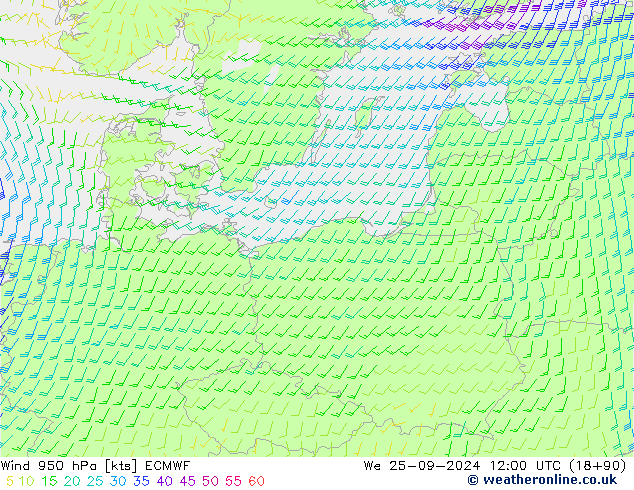  950 hPa ECMWF  25.09.2024 12 UTC