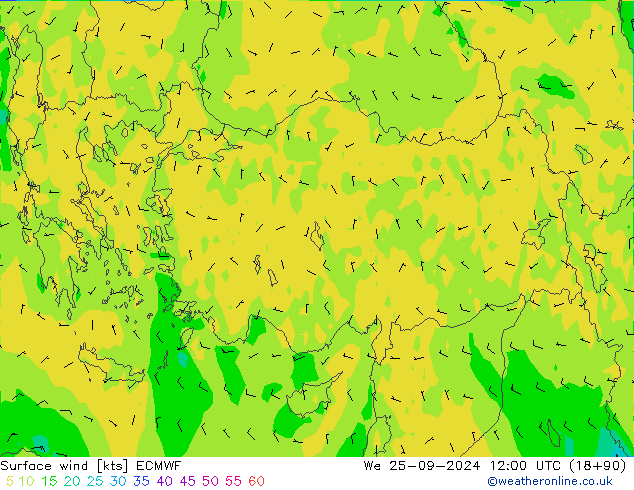 Bodenwind ECMWF Mi 25.09.2024 12 UTC