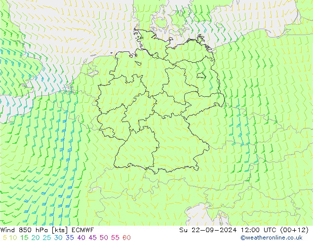 Wind 850 hPa ECMWF So 22.09.2024 12 UTC