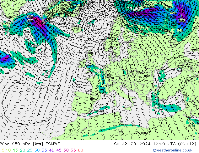 风 950 hPa ECMWF 星期日 22.09.2024 12 UTC