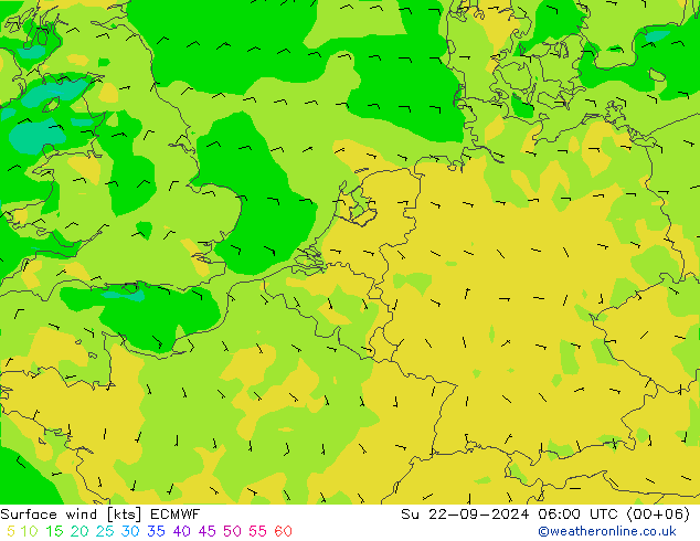 Vento 10 m ECMWF Dom 22.09.2024 06 UTC