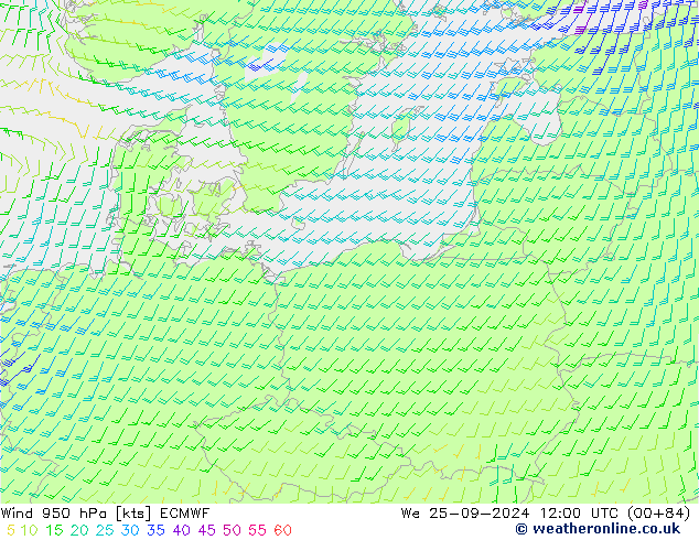 Wind 950 hPa ECMWF wo 25.09.2024 12 UTC