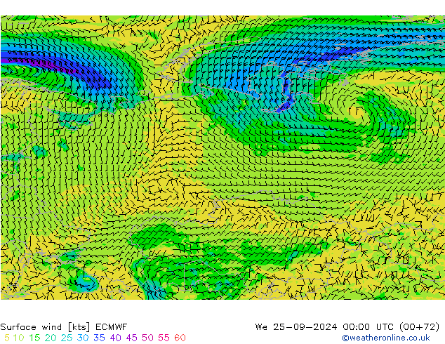 Surface wind ECMWF We 25.09.2024 00 UTC