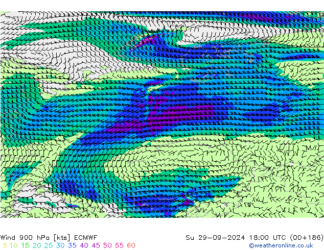 wiatr 900 hPa ECMWF nie. 29.09.2024 18 UTC