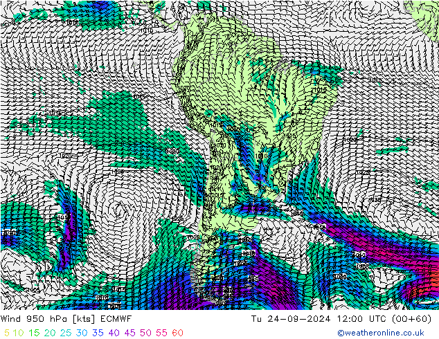 Wind 950 hPa ECMWF di 24.09.2024 12 UTC