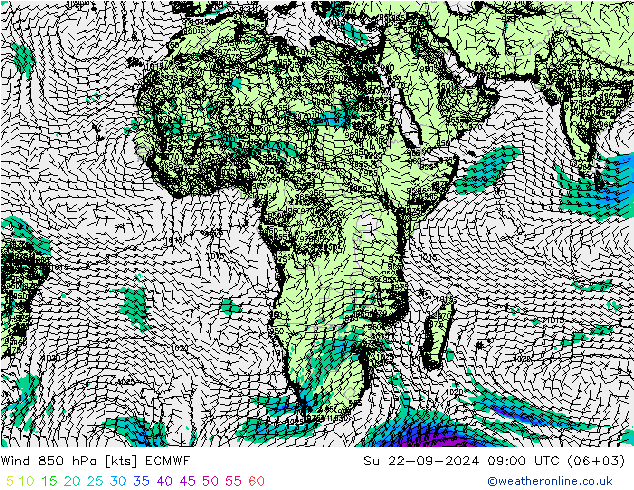 Vento 850 hPa ECMWF dom 22.09.2024 09 UTC