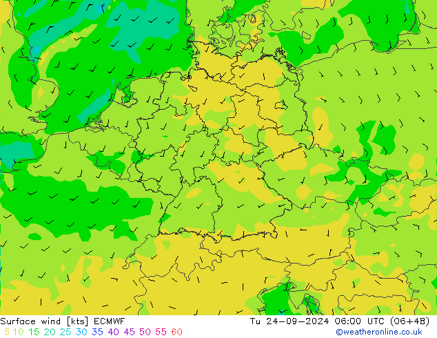 风 10 米 ECMWF 星期二 24.09.2024 06 UTC