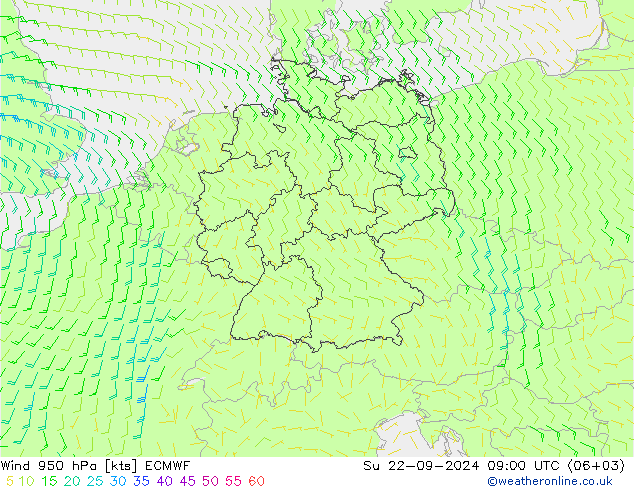 Wind 950 hPa ECMWF Su 22.09.2024 09 UTC