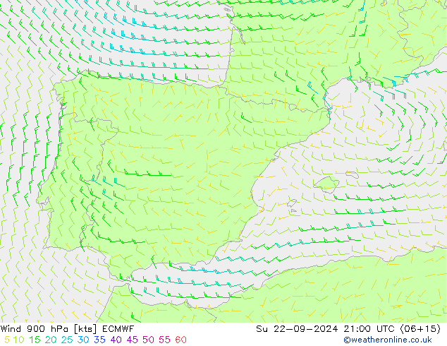 Wind 900 hPa ECMWF zo 22.09.2024 21 UTC