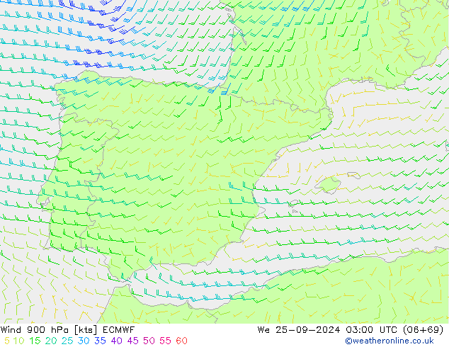 Wind 900 hPa ECMWF Mi 25.09.2024 03 UTC