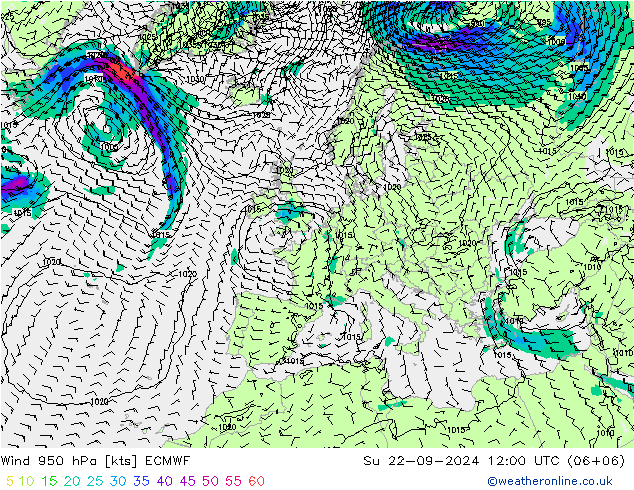 Wind 950 hPa ECMWF So 22.09.2024 12 UTC