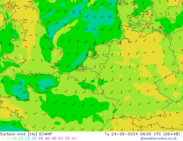 Bodenwind ECMWF Di 24.09.2024 06 UTC