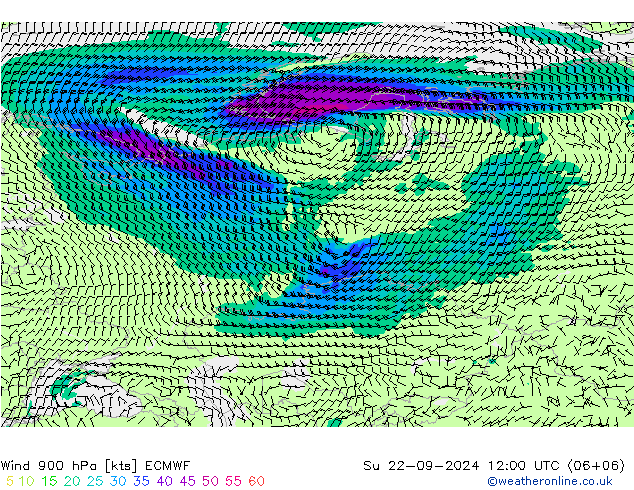 Wind 900 hPa ECMWF zo 22.09.2024 12 UTC