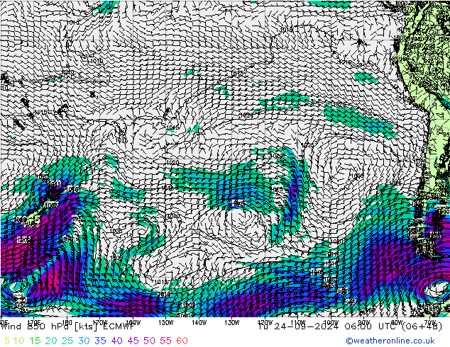 ветер 850 гПа ECMWF вт 24.09.2024 06 UTC