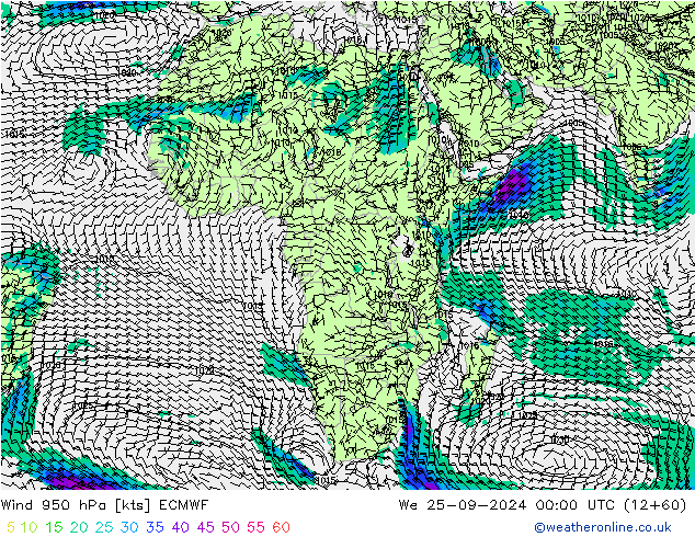 Wind 950 hPa ECMWF We 25.09.2024 00 UTC