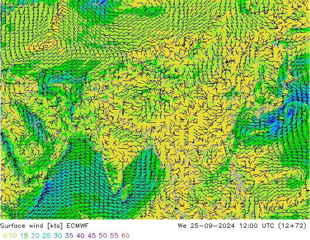 Rüzgar 10 m ECMWF Çar 25.09.2024 12 UTC