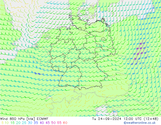 Wind 850 hPa ECMWF Út 24.09.2024 12 UTC