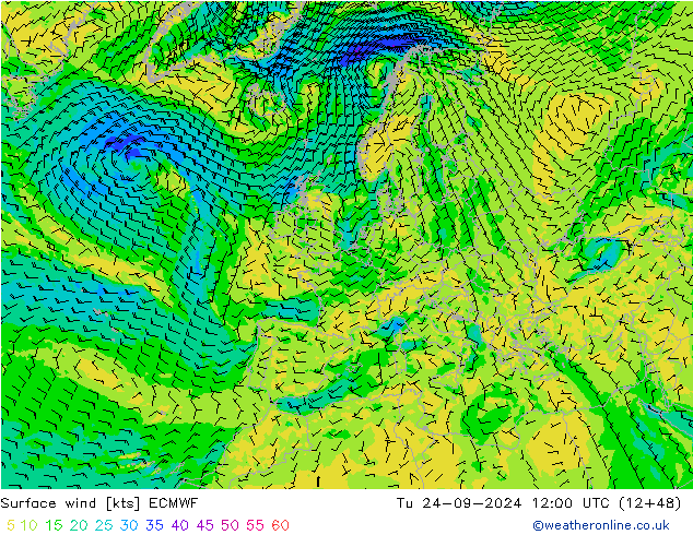 ветер 10 m ECMWF вт 24.09.2024 12 UTC