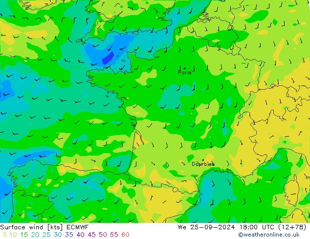 Surface wind ECMWF We 25.09.2024 18 UTC