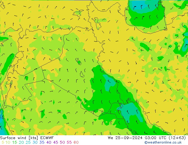 Bodenwind ECMWF Mi 25.09.2024 03 UTC