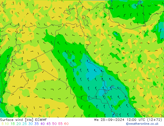 Surface wind ECMWF St 25.09.2024 12 UTC