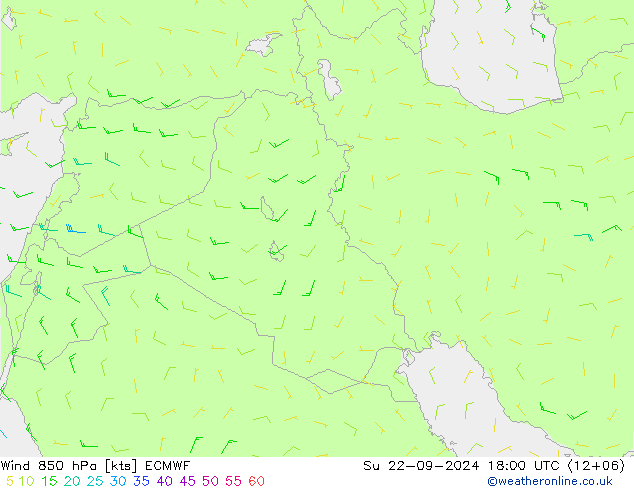 Wind 850 hPa ECMWF So 22.09.2024 18 UTC