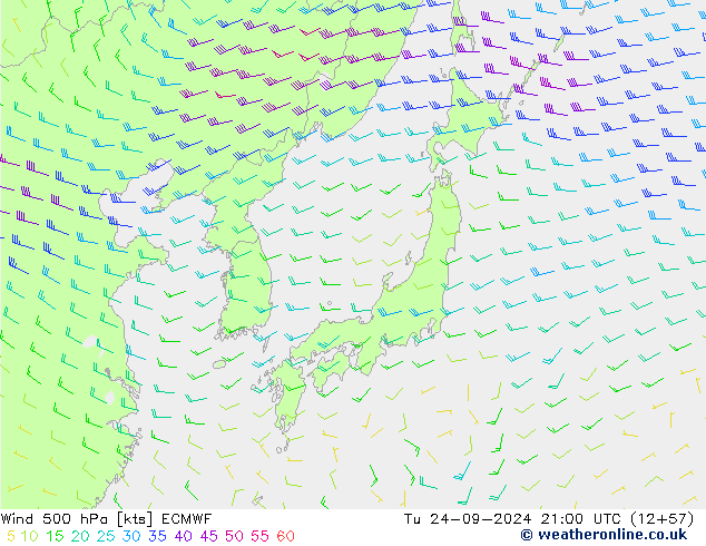 Wind 500 hPa ECMWF Tu 24.09.2024 21 UTC