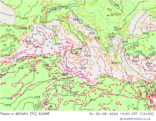  nie. 22.09.2024 12 UTC