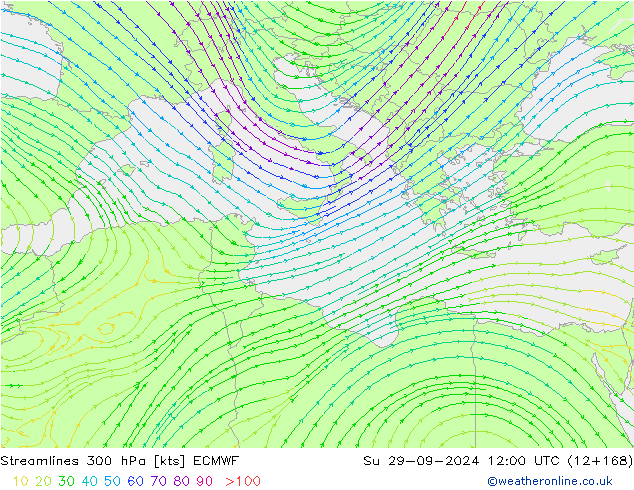 Linea di flusso 300 hPa ECMWF dom 29.09.2024 12 UTC