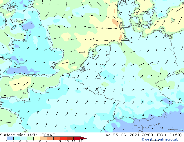 Wind 10 m (bft) ECMWF wo 25.09.2024 00 UTC