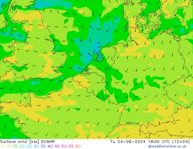 Wind 10 m ECMWF di 24.09.2024 18 UTC