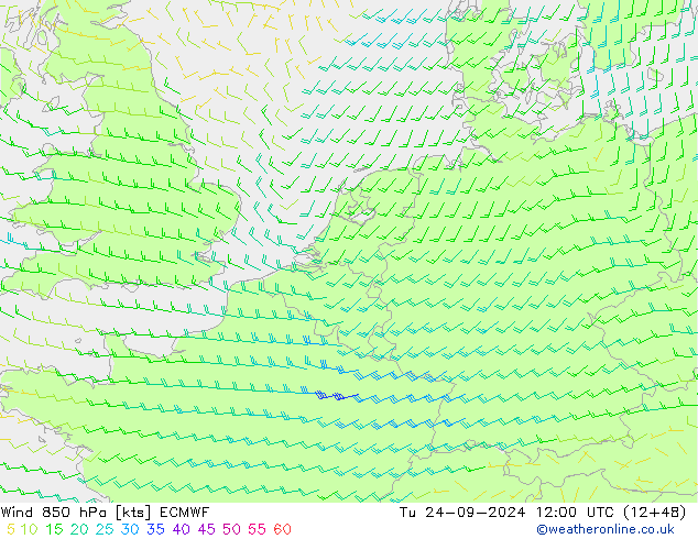 Rüzgar 850 hPa ECMWF Sa 24.09.2024 12 UTC