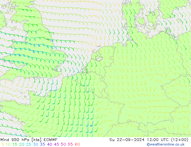 Wind 950 hPa ECMWF Ne 22.09.2024 12 UTC