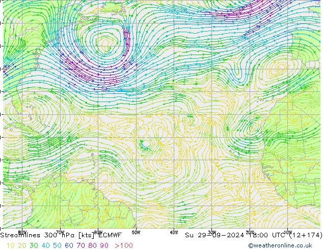 Streamlines 300 hPa ECMWF Su 29.09.2024 18 UTC