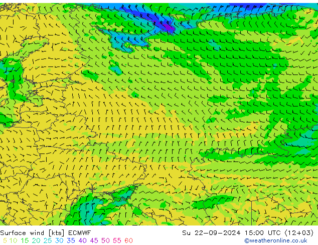 ветер 10 m ECMWF Вс 22.09.2024 15 UTC