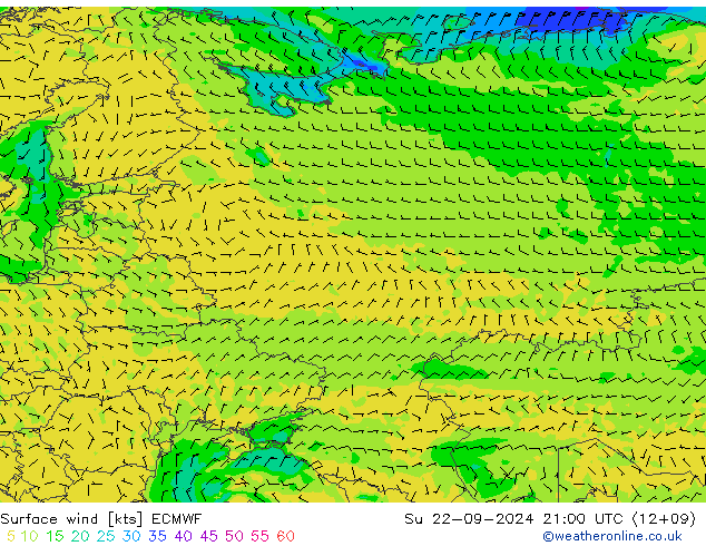 Surface wind ECMWF Su 22.09.2024 21 UTC