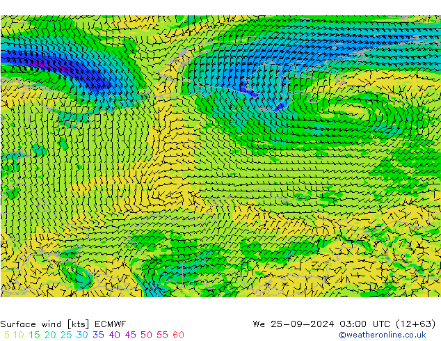 Wind 10 m ECMWF wo 25.09.2024 03 UTC