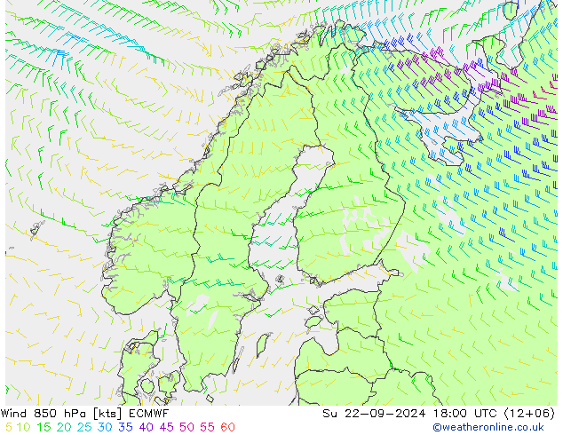 Wind 850 hPa ECMWF Ne 22.09.2024 18 UTC